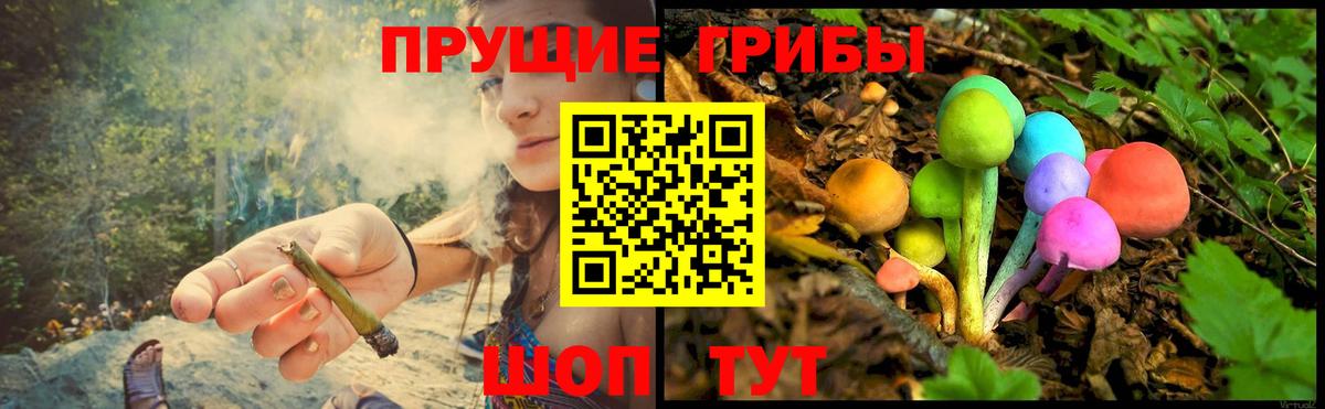 Галлюциногенные грибы Cubensis  Псилоцибиновые грибы GOLDEN TEACHER  Сегежа  Вход с VPN 
